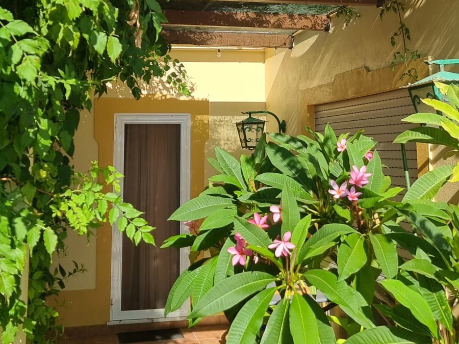 L'entrée de La Chambre sous sa pergola, un frangipanier en fleur devant la porte